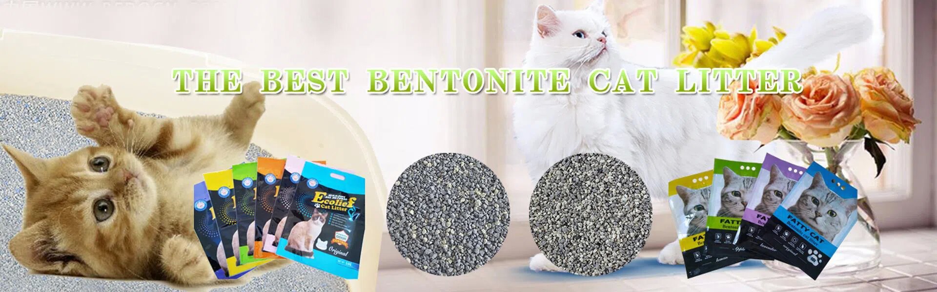 German Quality Since 2004